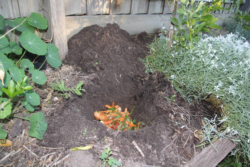 Compost Holes4